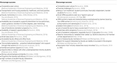 An Examination of the Paths of Successful Diverse STEM Faculty: Insight for Programming